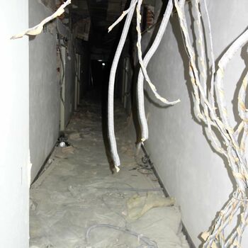 Das verlassene Krankenhaus