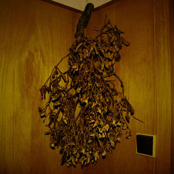 Hotel, který už nikdy nikdo nenavštíví