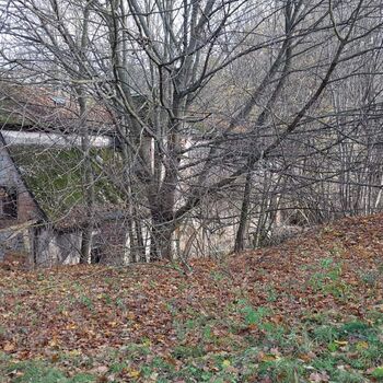 Urbex - Mühle bei V.......🐺🐺🐺🐺🐺🐺 Urbex - Mühle bei V.......🐺🐺🐺🐺🐺🐺