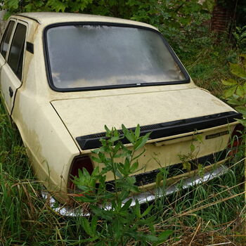 Už asi nevyjedou...