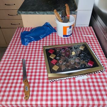 Accommodation complex at the campsite_2023