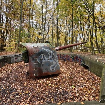 Cannons and bunkers Poland 2025