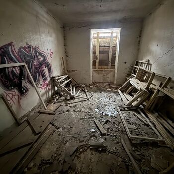 Aunt Omega, or I Believe in Fairies