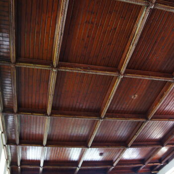 skloněnou strunný nástroj strunný nástroj hudební nástroj