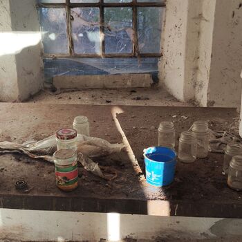 Abandoned house in the Highlands_2024