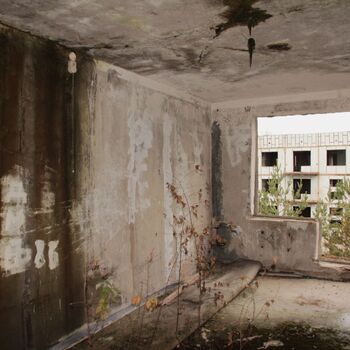 Kyjeváky in der Siedlung Ploužnice 2023