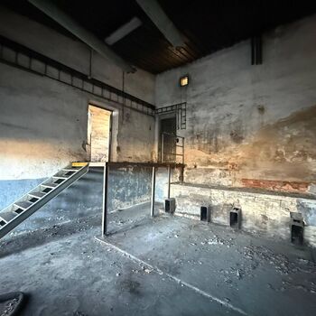 hory, DOLY, černý pes