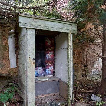 Homestead with a pond