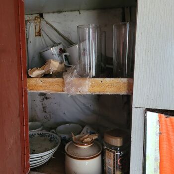 Der Wohnwagen ist im Wald geparkt,