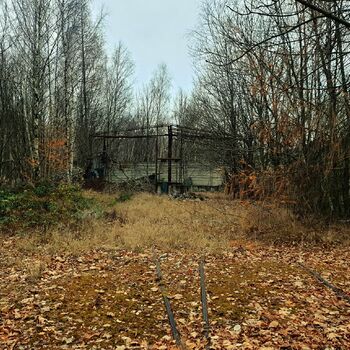 strom Les plot krajina