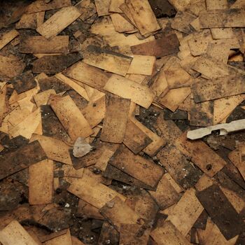 Unter den Fenstern von Pragovka - zum zweiten Mal Unter den Fenstern von Pragovka - zum zweiten Mal