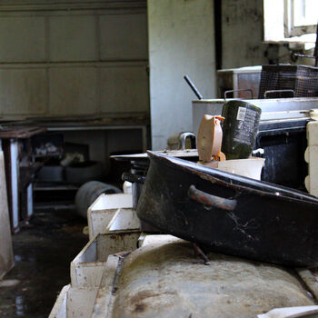 Schimmel für das Mittagessen