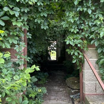 ᑭᖇᐯOᖇEᑭᑌᗷᒪIKOᐯé ᐯIᒪY etc. ᑭᖇᐯOᖇEᑭᑌᗷᒪIKOᐯé ᐯIᒪY etc.