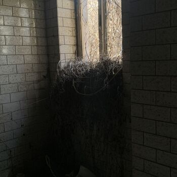 Bývala mrazarna a podzemí