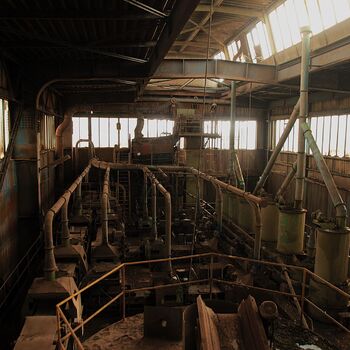 Pískové hospodářství, aneb příliš dlouhá swingers párty