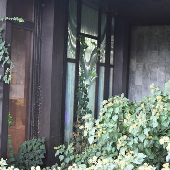 Opuštěná obřadní síň Opuštěná obřadní síň