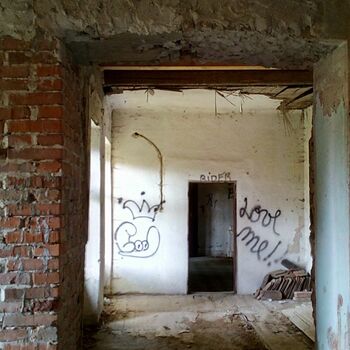 Buňka Architektura staré dveře budova zeď