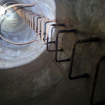 Štolák u velkého dubu.