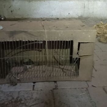 Substation 2023 Substation 2023