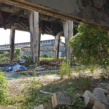 Patio oblast struktura Patio oblast struktura