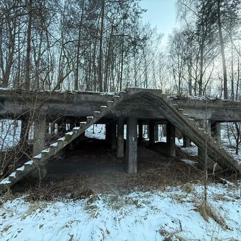 Die Geheimtür ist entdeckt worden...