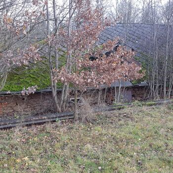 Urbex - Mühle bei V.......🐺🐺🐺🐺🐺🐺 Urbex - Mühle bei V.......🐺🐺🐺🐺🐺🐺