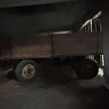 The Cow Farm The Cow Farm