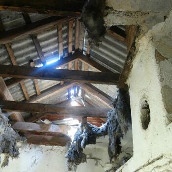 Semi-dilapidated ship