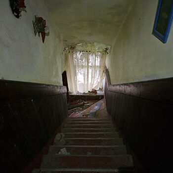 Das Haus beim Plüschtier.