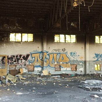 sgrafity dekorace sgrafity dekorace