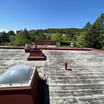 Schule im Freien 2022 - Teil 5