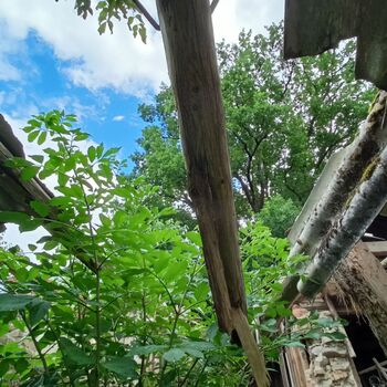 Spitzenschiff 9z10ti...