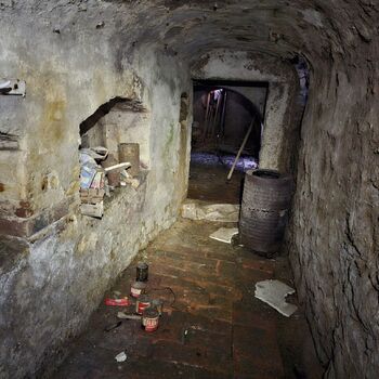 Das Haus beim Plüschtier.