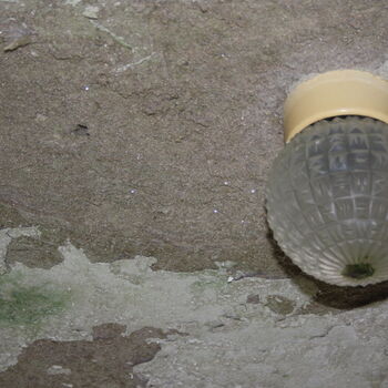 Wo ist der Graf geblieben? Das verlassene Schloss