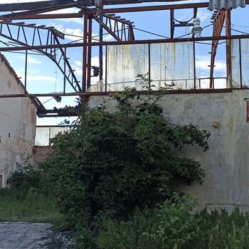 Agricultural area 2023