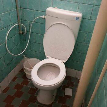 Toaleta koupelna místnost záchodové prkýnko interiér mísa sídlo nábytek koupel vyčistit domácí vedle sebe