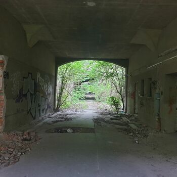 suterénu Architektura Buňka