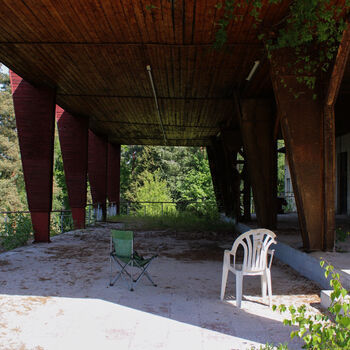Schimmel für das Mittagessen