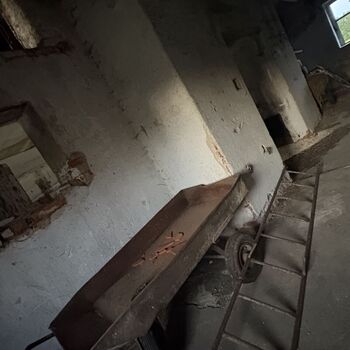 The Cow Farm The Cow Farm