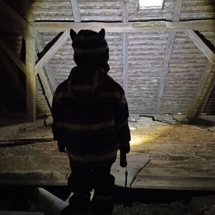 Schweinchen 🐷 2023 Schweinchen 🐷 2023