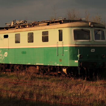 Bardotková Bardotková