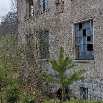 Ocelárny Julia 2023