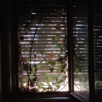 Opuštěná dětská léčebna 🧸🖤 Opuštěná dětská léčebna 🧸🖤