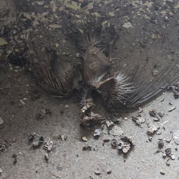 Bahnhof Jihlava Stadt_2024 Bahnhof Jihlava Stadt_2024