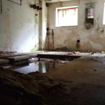 Buňka staré Buňka staré