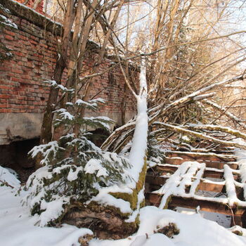 Schalenminen Schalenminen