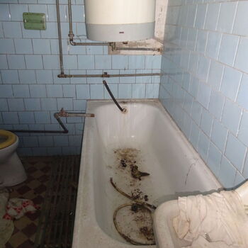 Here, we will no longer hear children's laughter