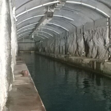 submarine base submarine base