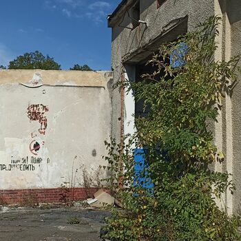 zeď budova Architektura zeď budova Architektura