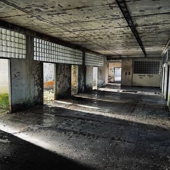 Timber production 2023